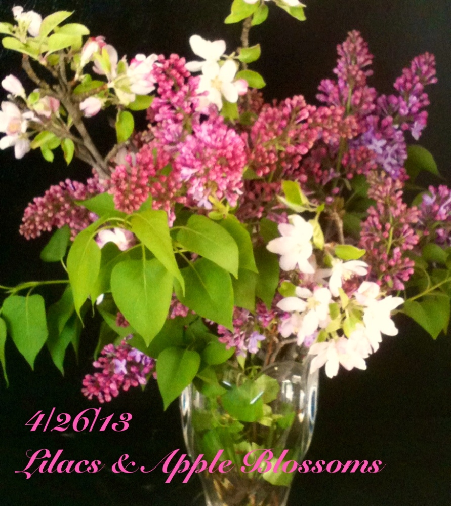 Apple blossoms and lilacs