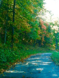 Greene County roads