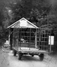 wagon and covered bridge